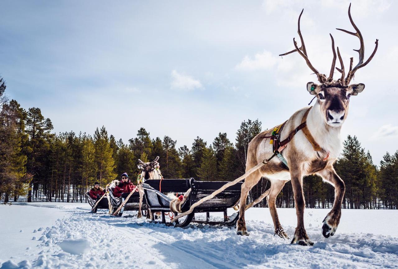Harriniva Adventure Resort Муоніо Екстер'єр фото