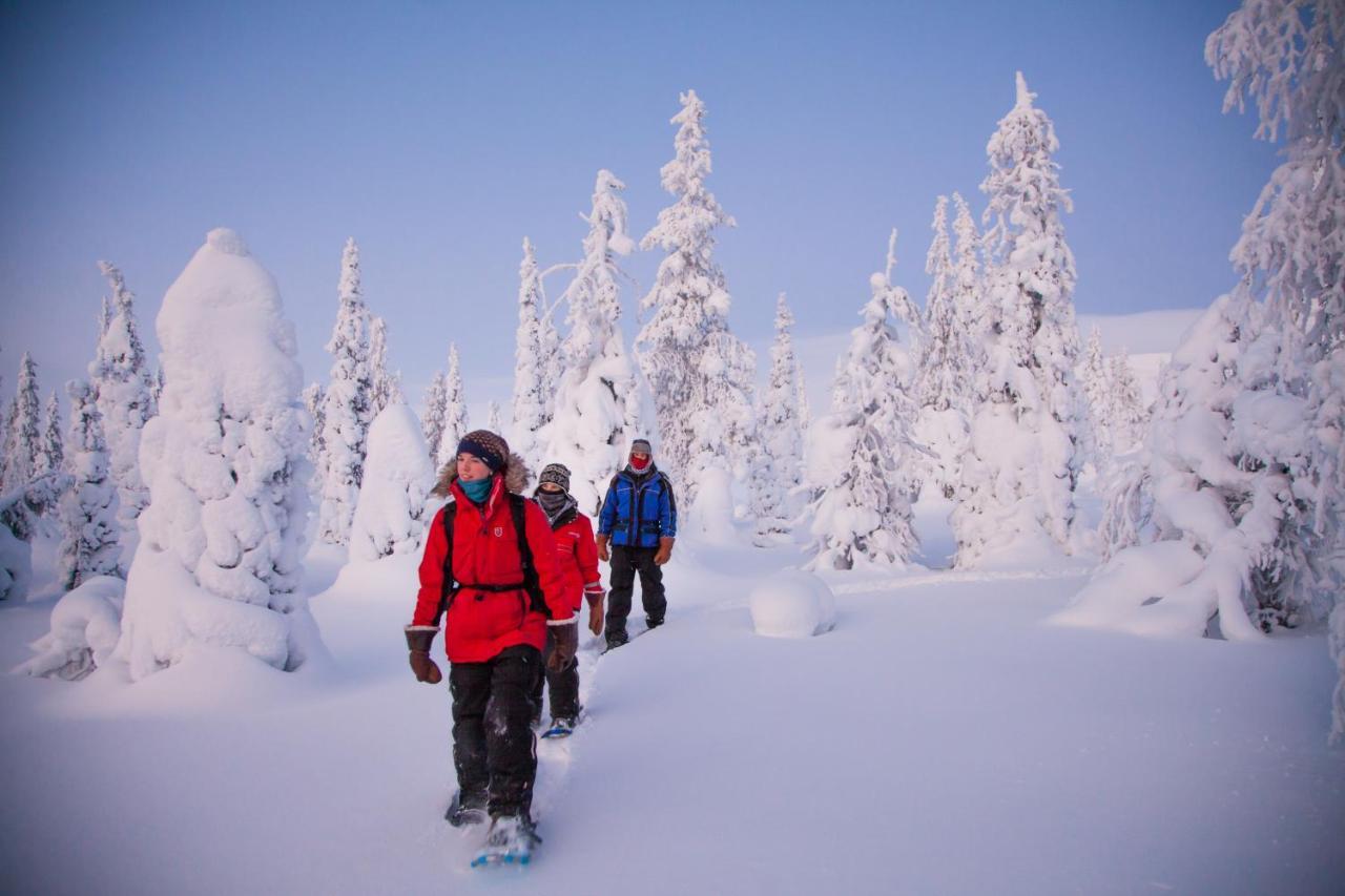 Harriniva Adventure Resort Муоніо Екстер'єр фото